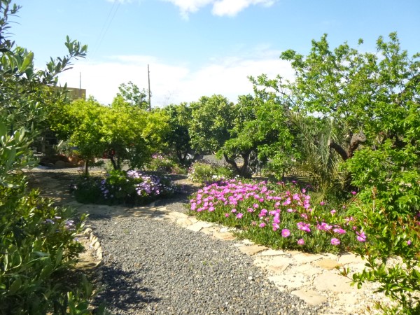 Garden at Finca Arboleda